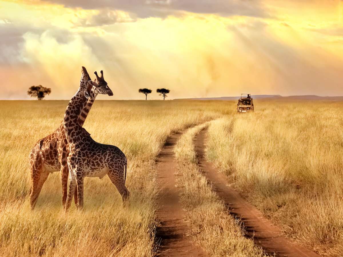Tanzania