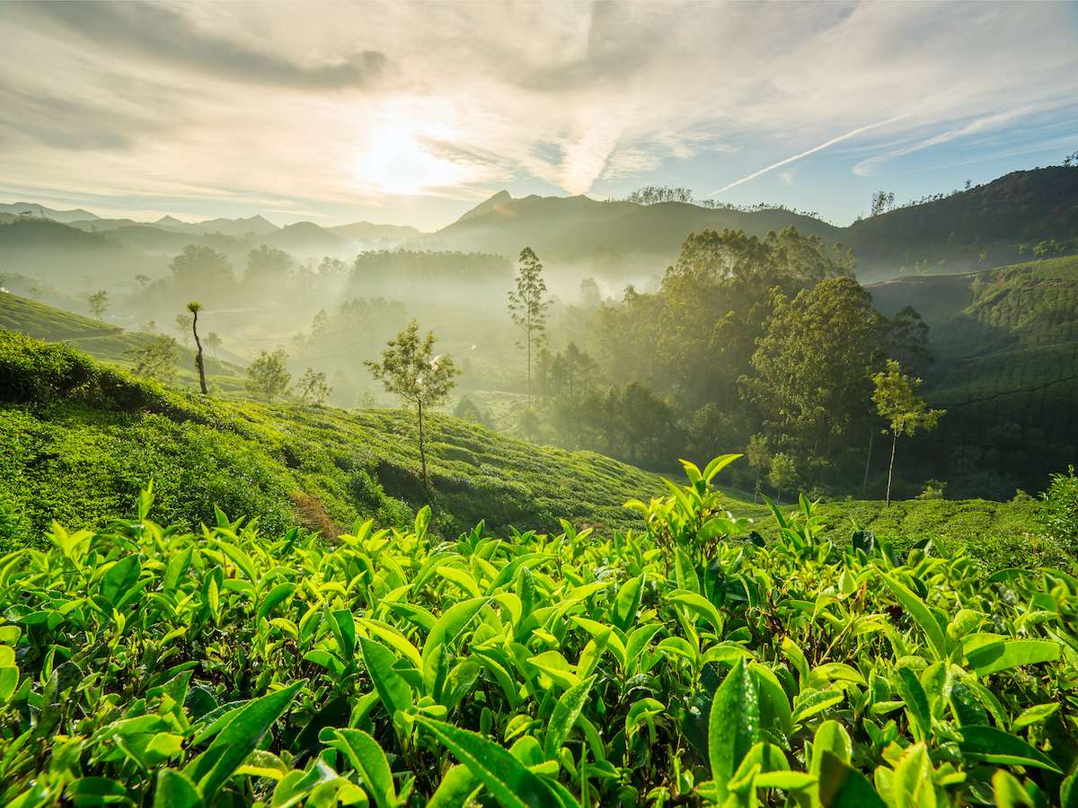 Sri Lanka