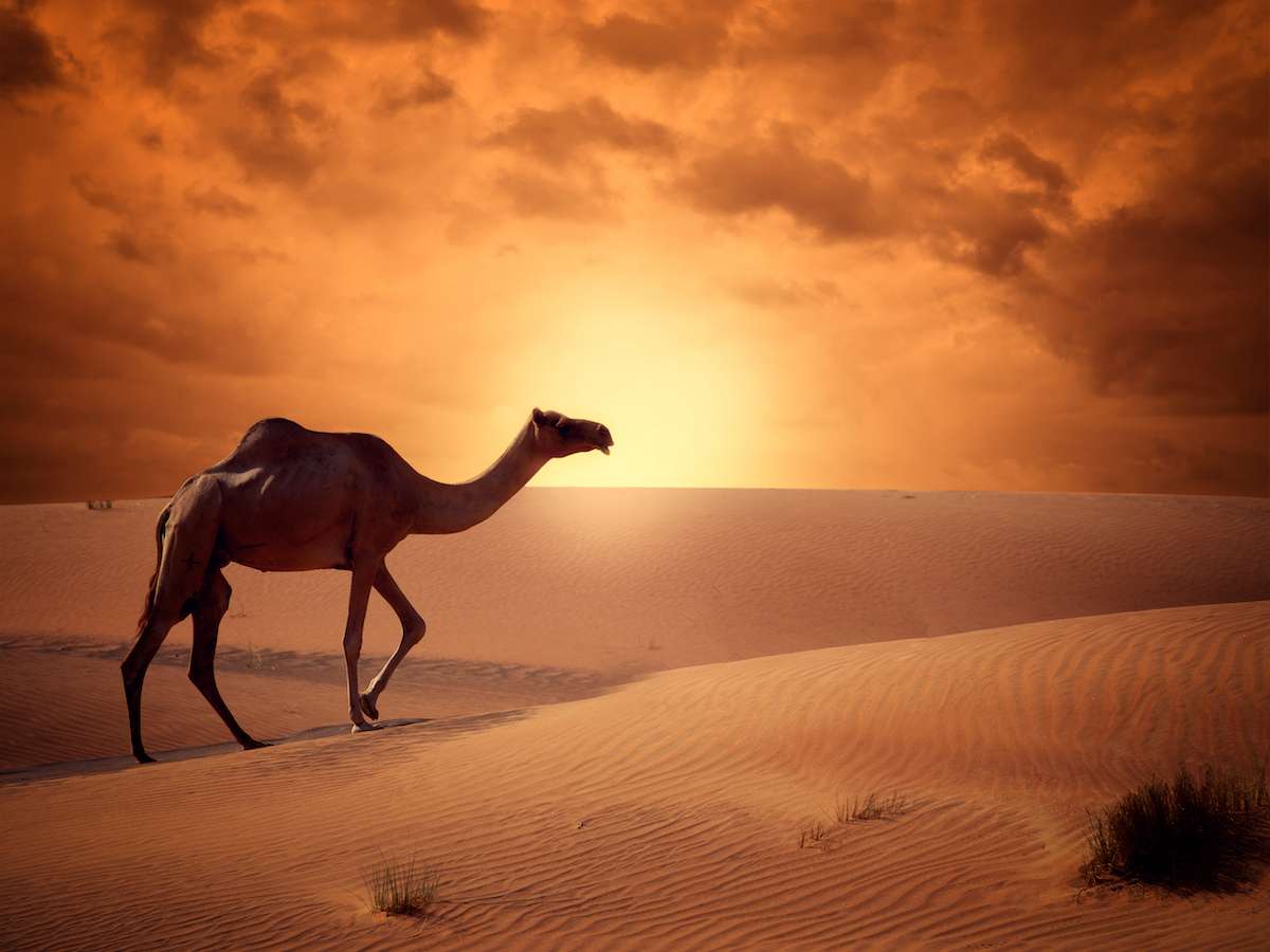 Jordania