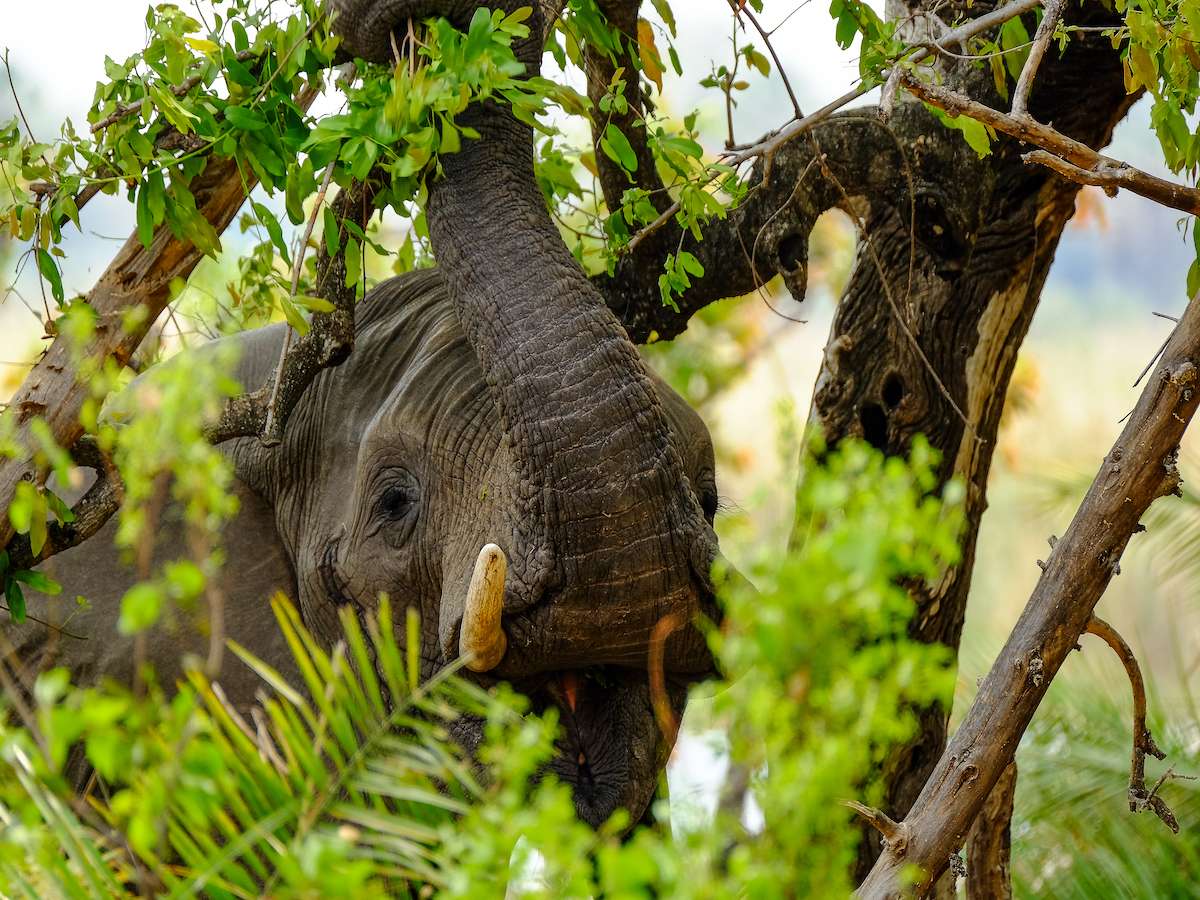 Orient Travel - Świat w zasięgu ręki!