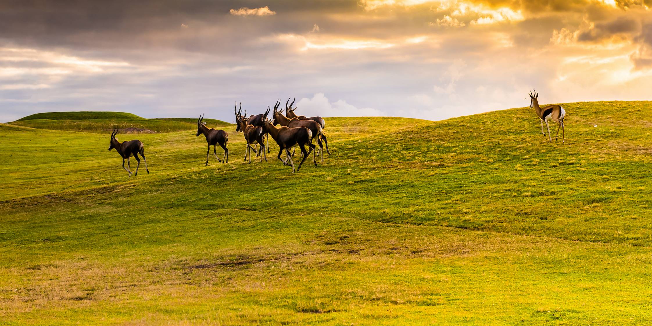 Orient Travel - Świat w zasięgu ręki!