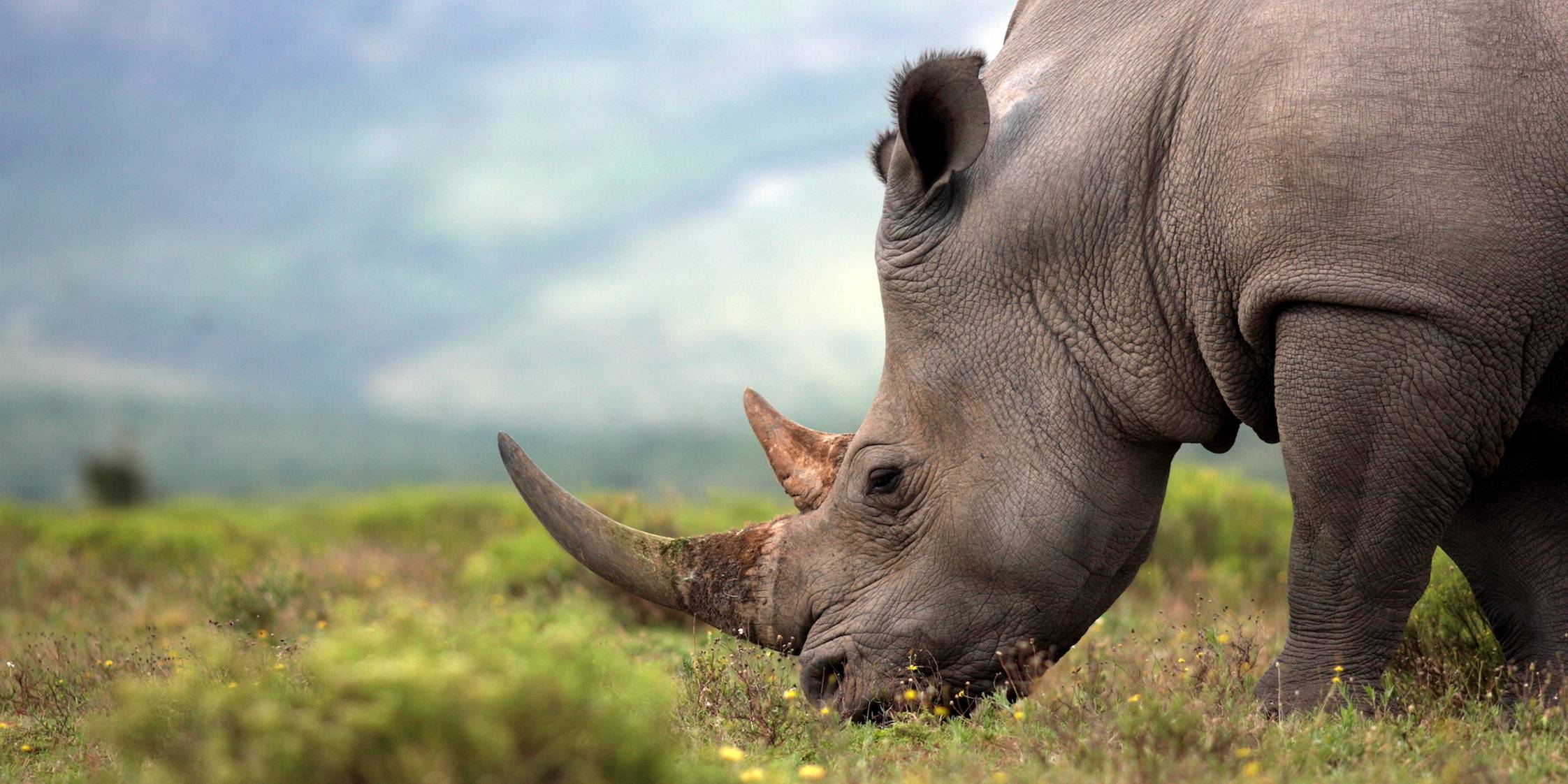 Orient Travel - Świat w zasięgu ręki!